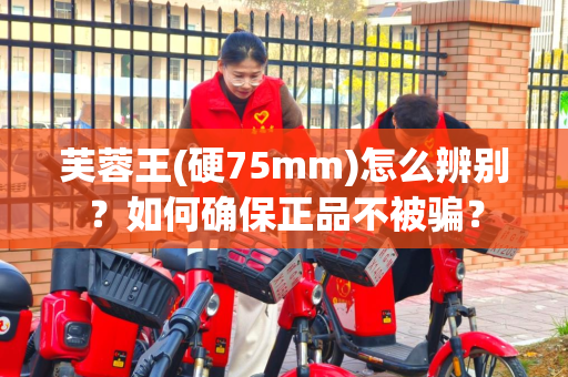芙蓉王(硬75mm)怎么辨别？如何确保正品不被骗？